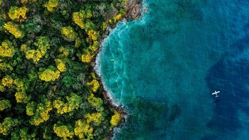 Fantasy Island (2020) film complet