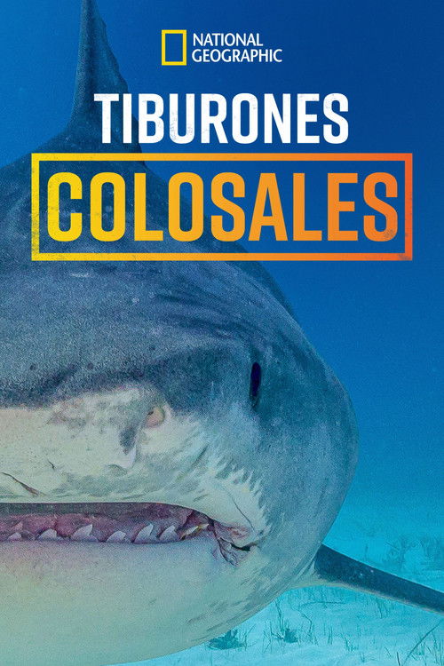 Tiburones colosales