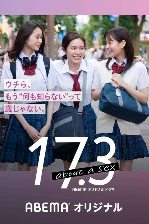 17.3 关于性电影海报