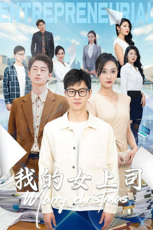 我的女上司电影海报