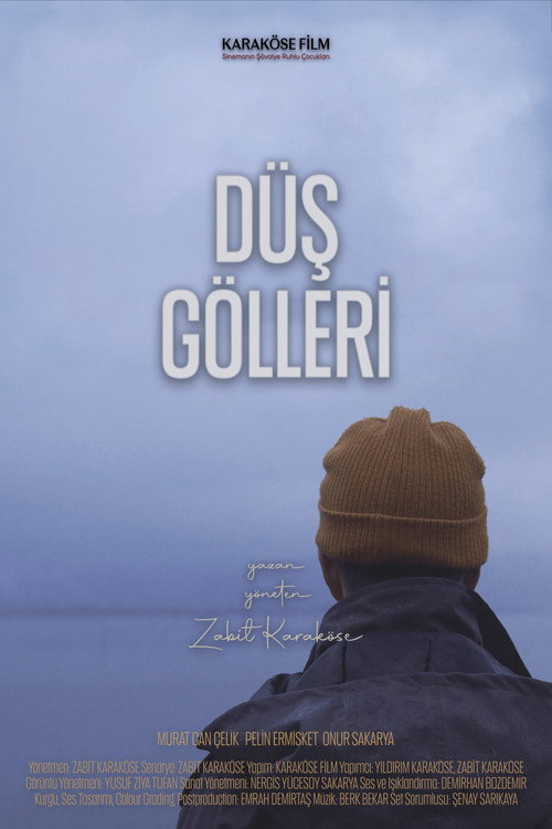 D&uuml;ş G&ouml;lleri电影海报
