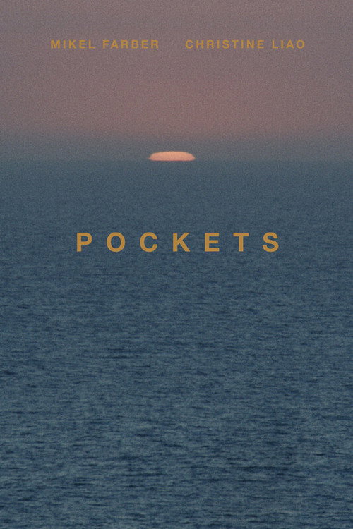 Pockets Poster