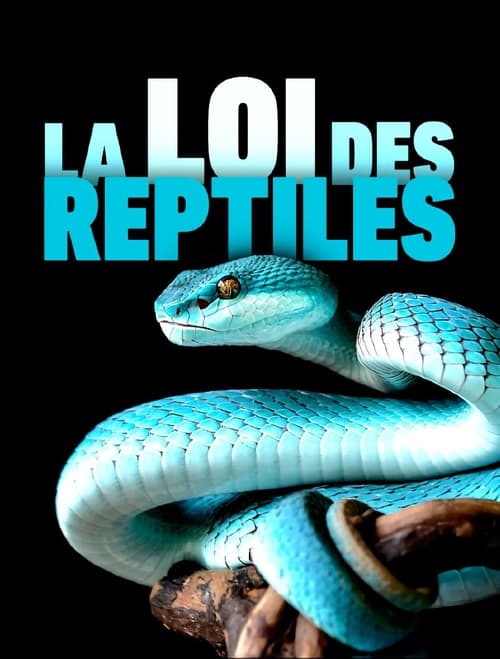 The+Law+of+Reptiles