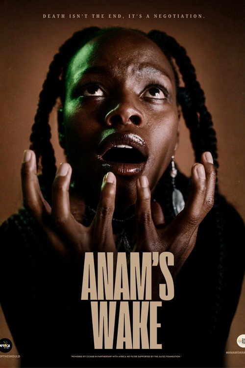 Anam's Wake Poster