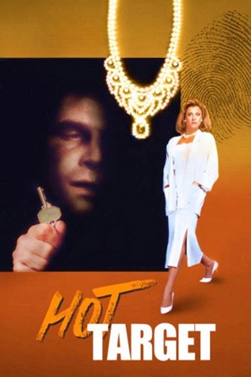 Hot Target poster 3