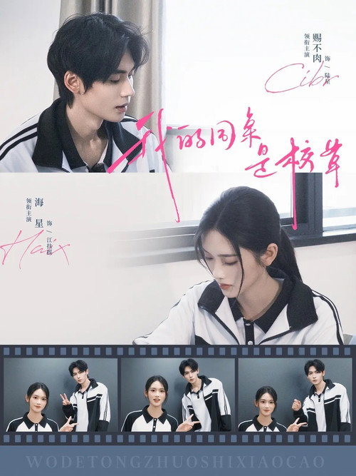 我的同桌是校草 poster 2