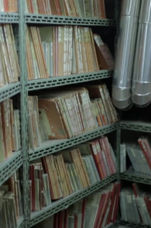 Our Shadows Will 2014 Our Shadows Will 2014