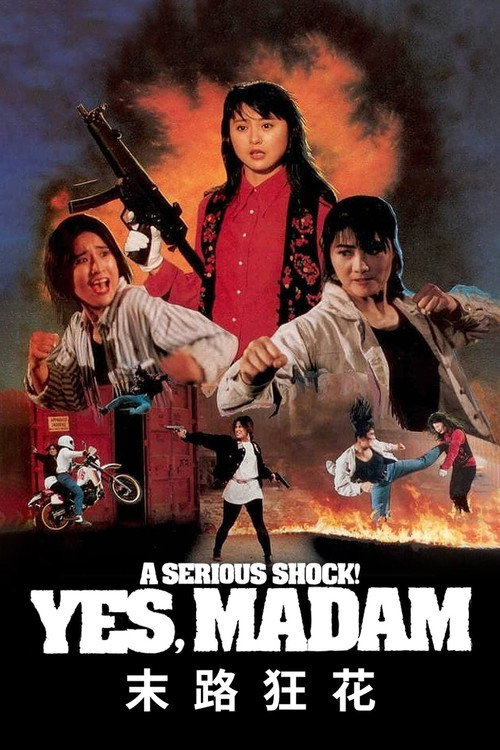 末路狂花电影海报