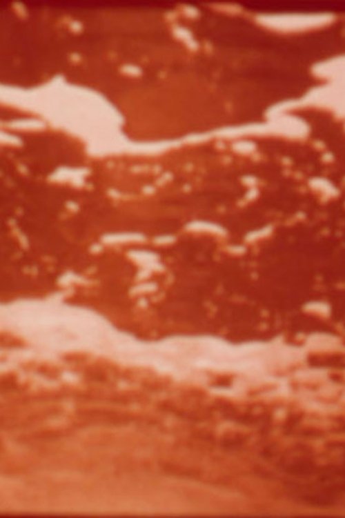 Aquarien 1974