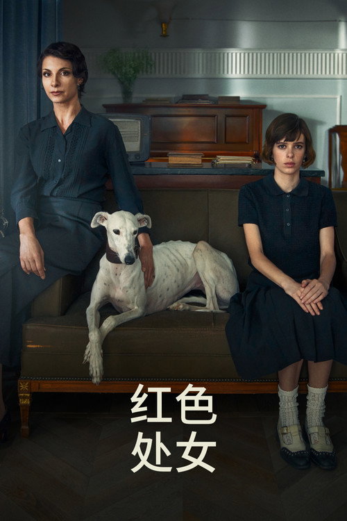 红色处女电影海报