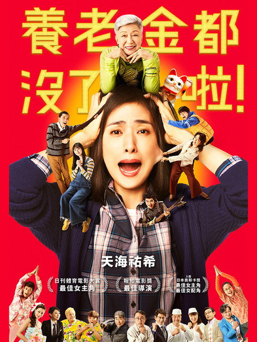 没有养老的资金电影海报