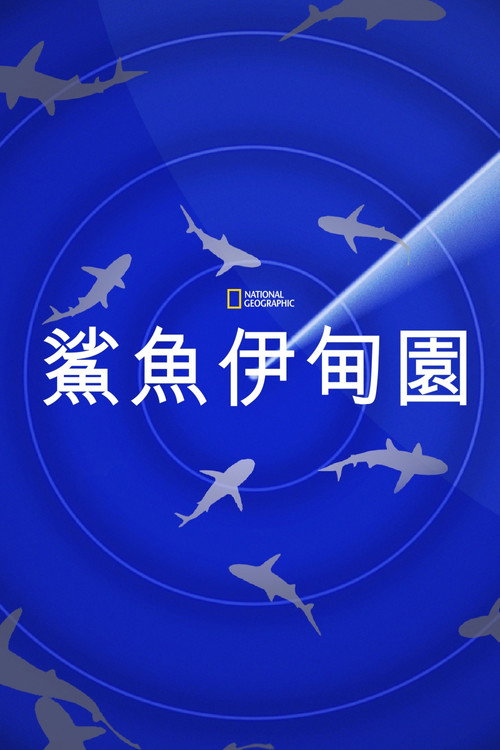 Journey to Shark Eden电影海报