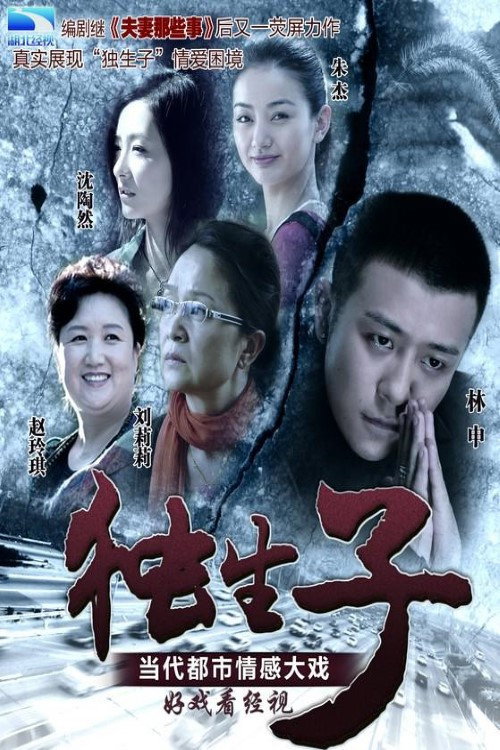 独生子电影海报