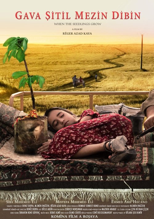 Gava Şitil Mezin Dibin poster