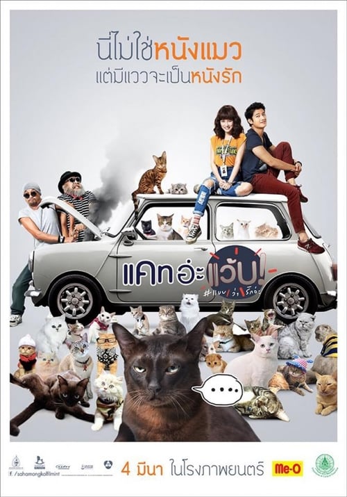 Cat A Wabb (2015) หนังเต็มออนไลน์