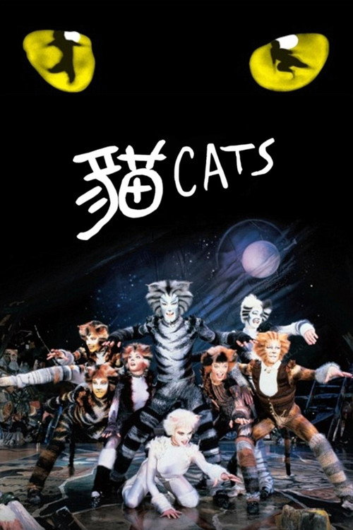 猫电影海报