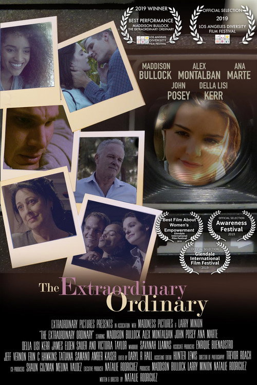The Extraordinary Ordinary poster 3