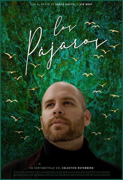 Los pájaros Poster