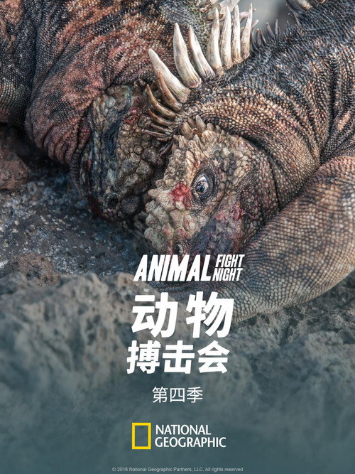 第 4 季