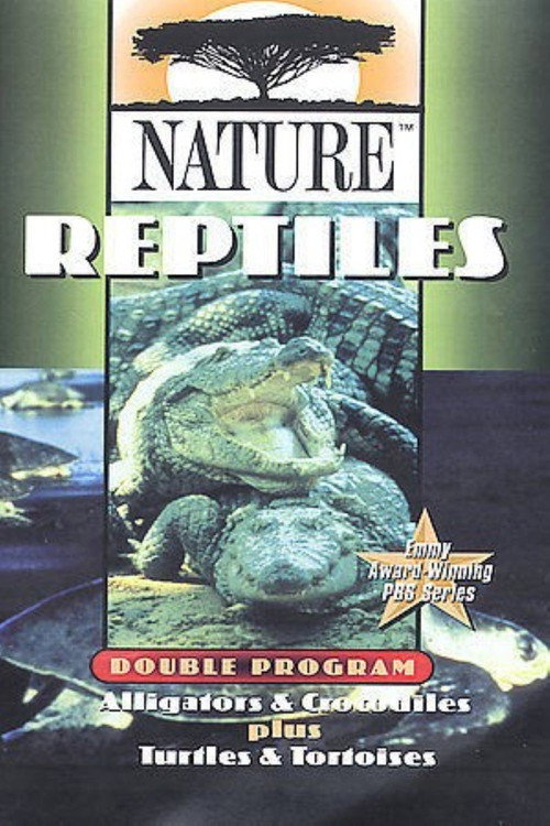 The Reptiles: Alligators & Crocodiles Poster