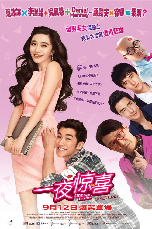 One Night Surprise poster 5