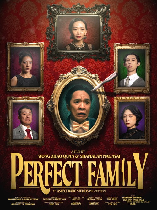 Perfect Family poster 2