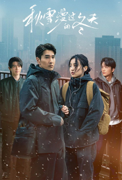 秋雪漫过的冬天电影海报