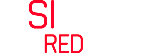 BAD BOYS: RIDE OR DIE Logo