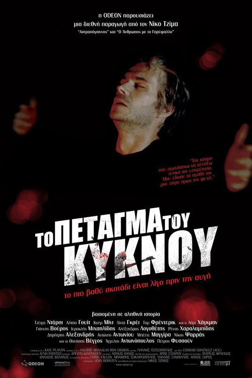 The Flight of the Swan poster 2