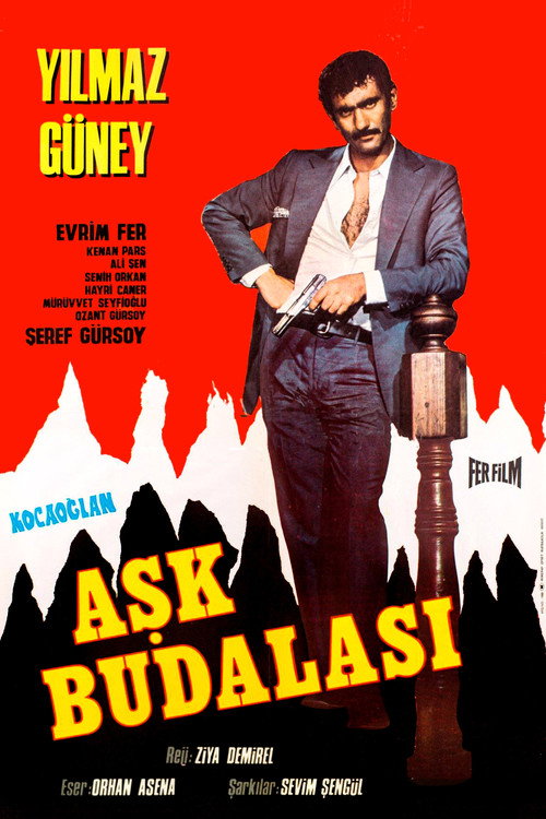 Kocaoğlan: Aşk Budalası poster 2