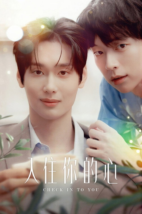 入住你的心电影海报