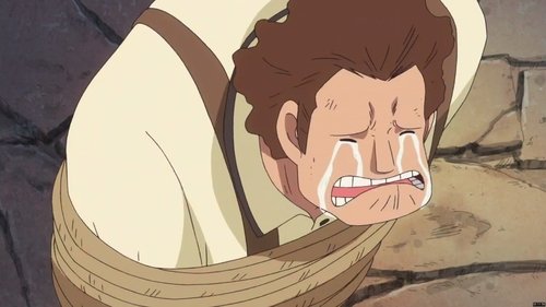 One Piece - 690. Bölüm