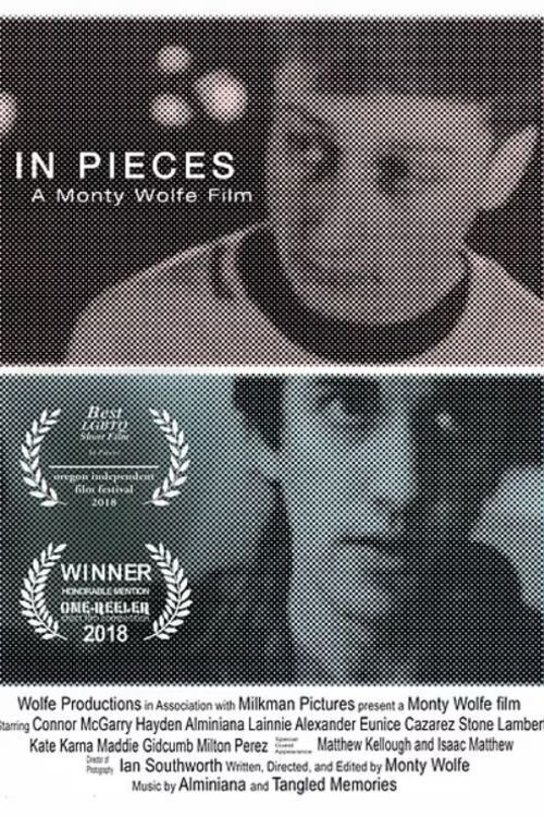 In Pieces Poster