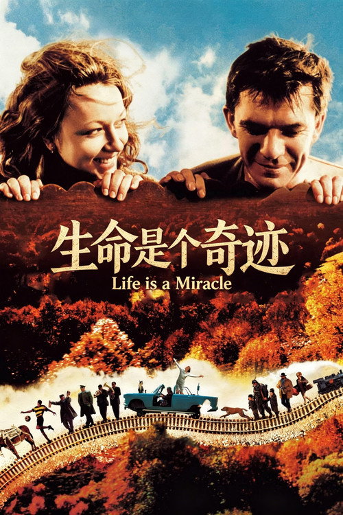 生命是个奇迹电影海报