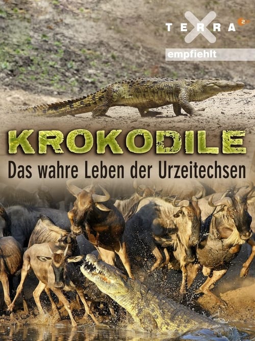 Krokodile+-+das+wahre+Leben+der+Urzeitechsen