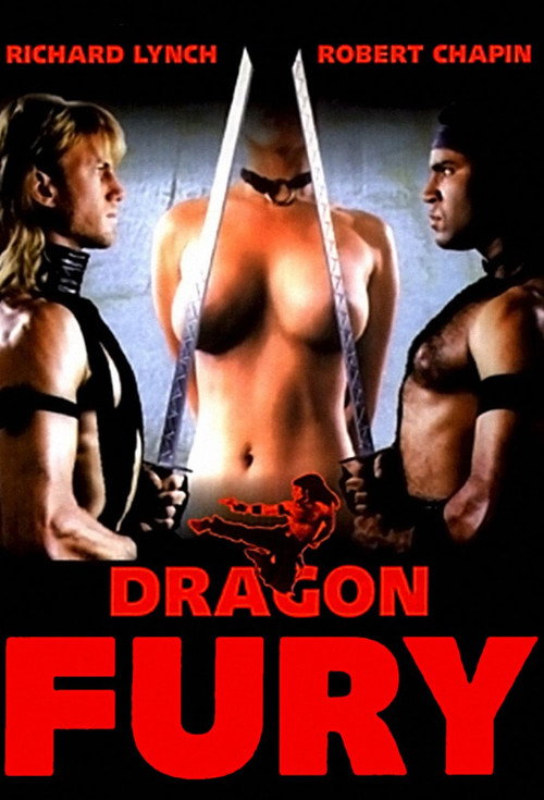 Dragon Fury poster 3
