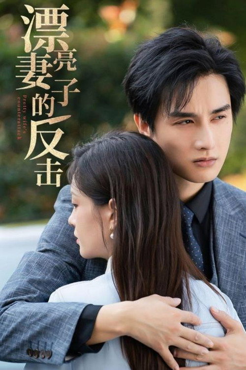 漂亮妻子的反击电影海报