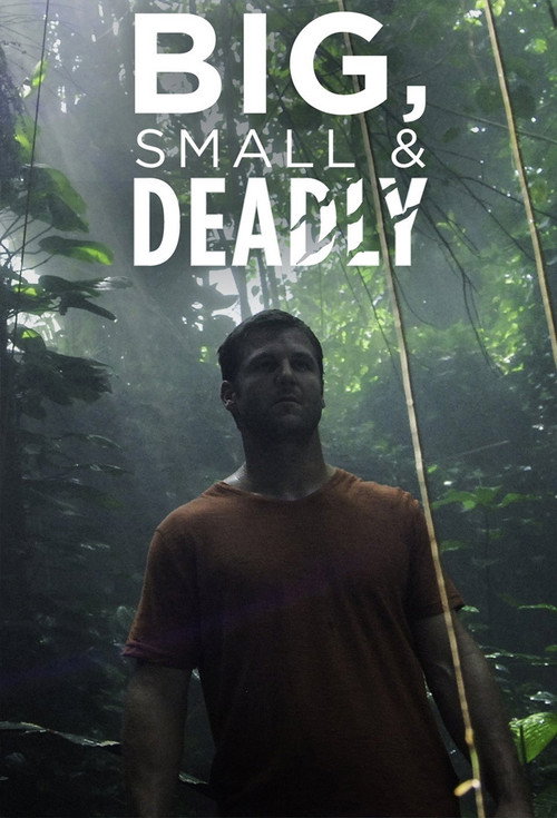 Big Small and Deadly电影海报