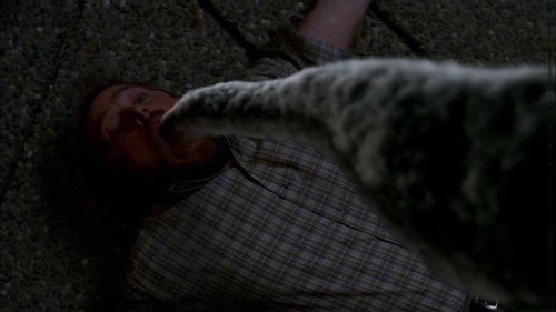 Supernatural - Muhteşem Yedili