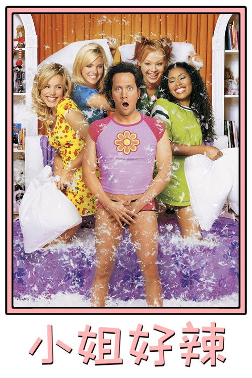 小姐好辣电影海报