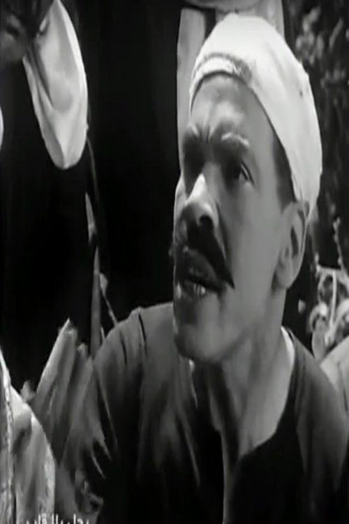 Person Image