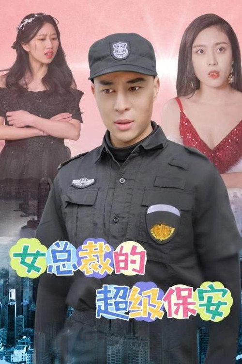 女总裁的超级保安电影海报