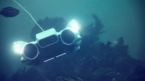 Underwater Robot
