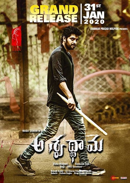 అశ్వథామ (2020) Watch Full Movie Streaming Online