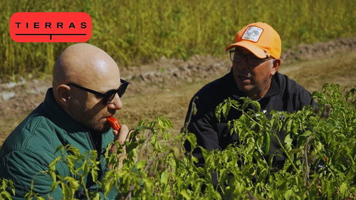 Episode 6