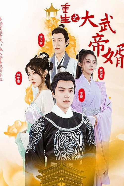 重生之大武帝婿电影海报
