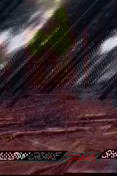 Poster of Shallow Grave