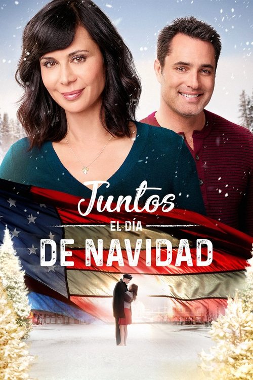 A casa por Navidad