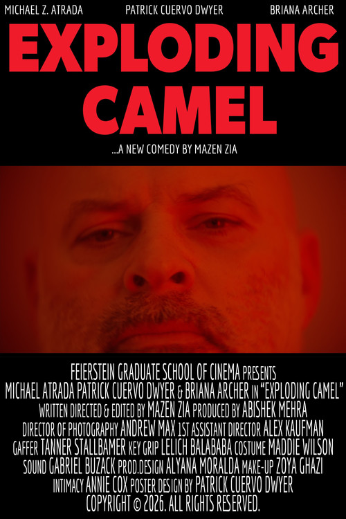 Exploding Camel's poster