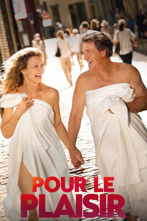 Pour le plaisir电影海报